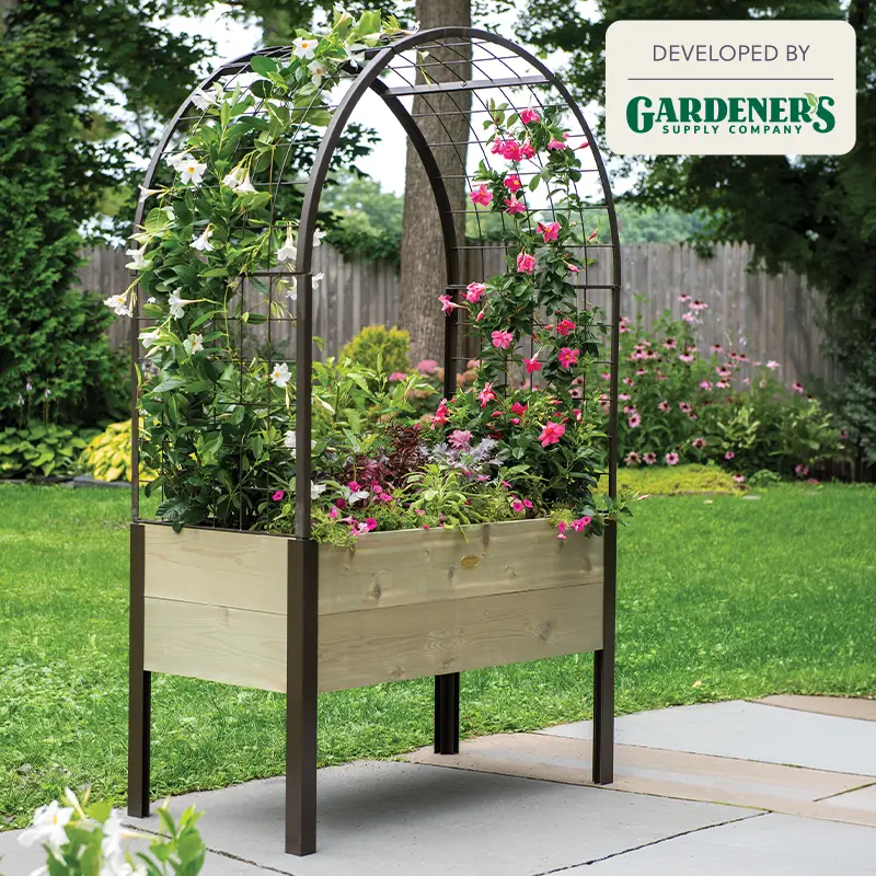 Arch Trellis for 2x4 Planter Box