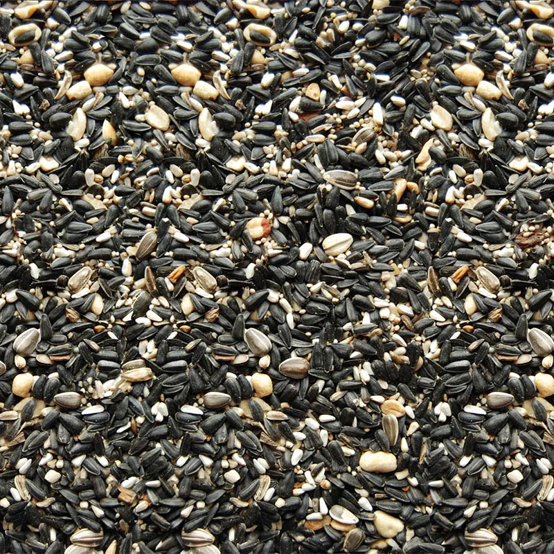 Birds Gone Wild - Image 3