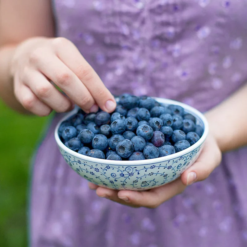 Blueberry Ka-Bluey - Image 4