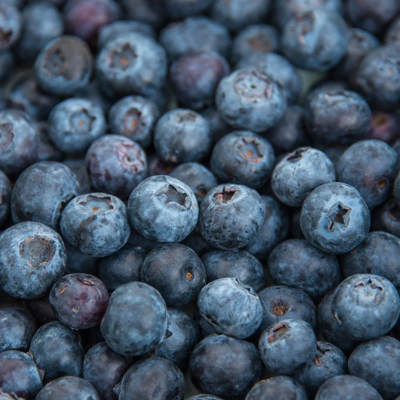Blueberry Ka-Bluey - Image 5
