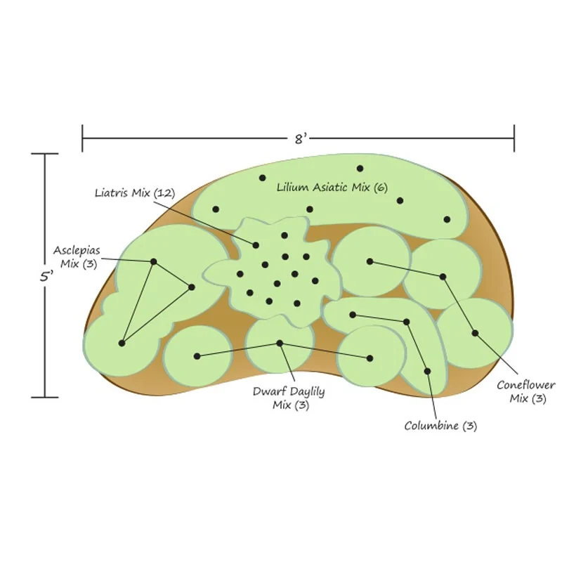 Butterfly Garden Kit - Image 2