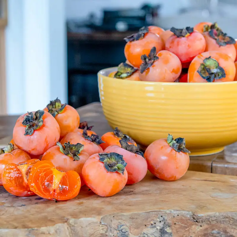 Caramel Cocktail Persimmon Tree - Image 3