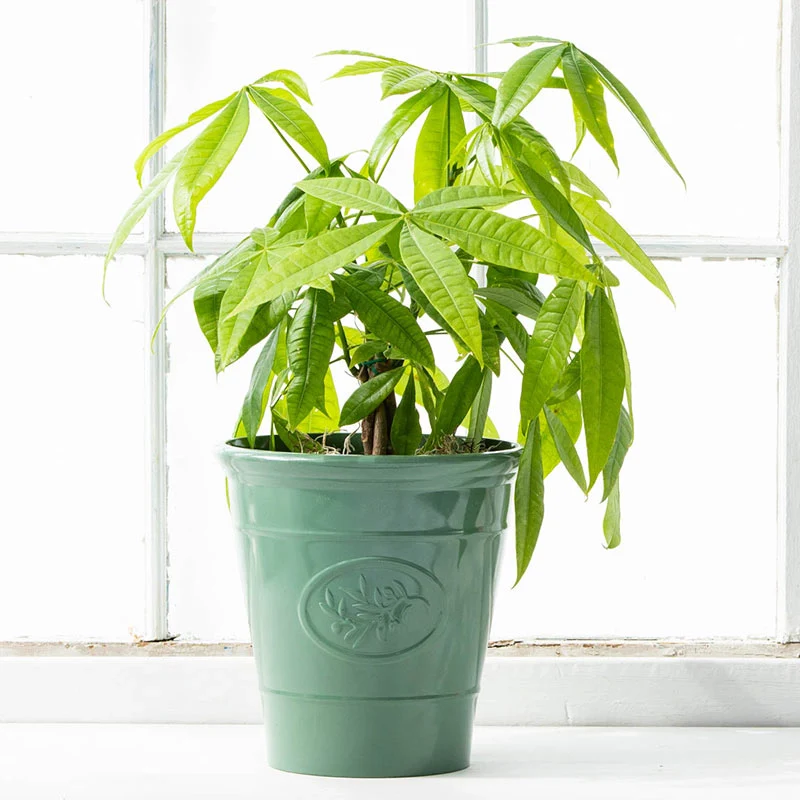Celadon Planter