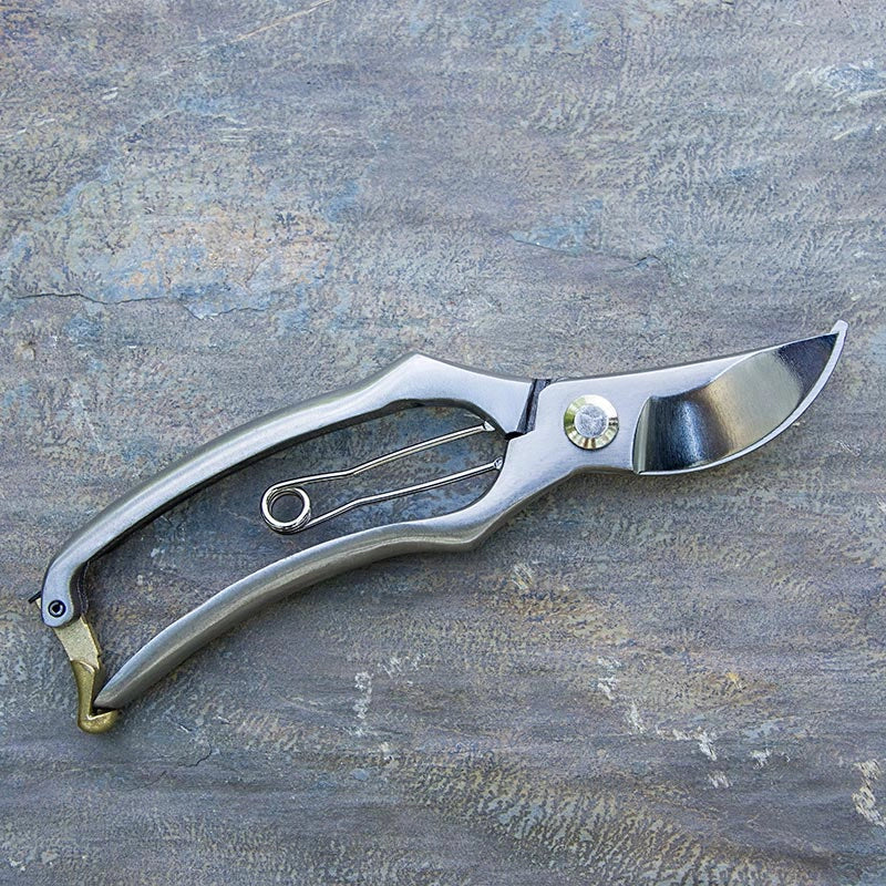 Essential Stainless Steel Pruners