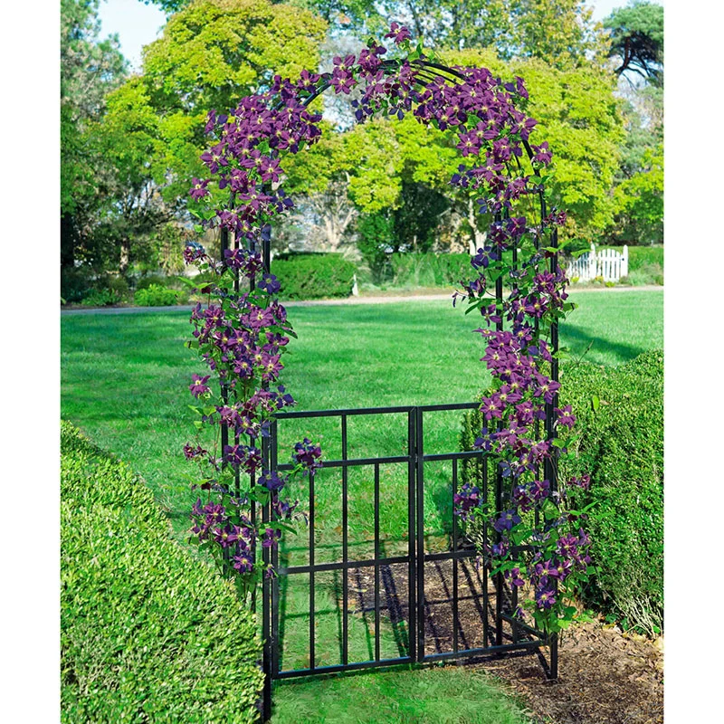 Gated Arch - Image 5