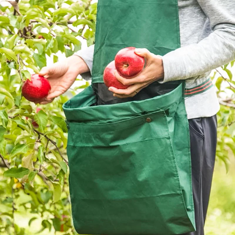 Gathering Apron - Image 2