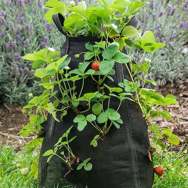 Grow Tub™ Strawberry Tower™