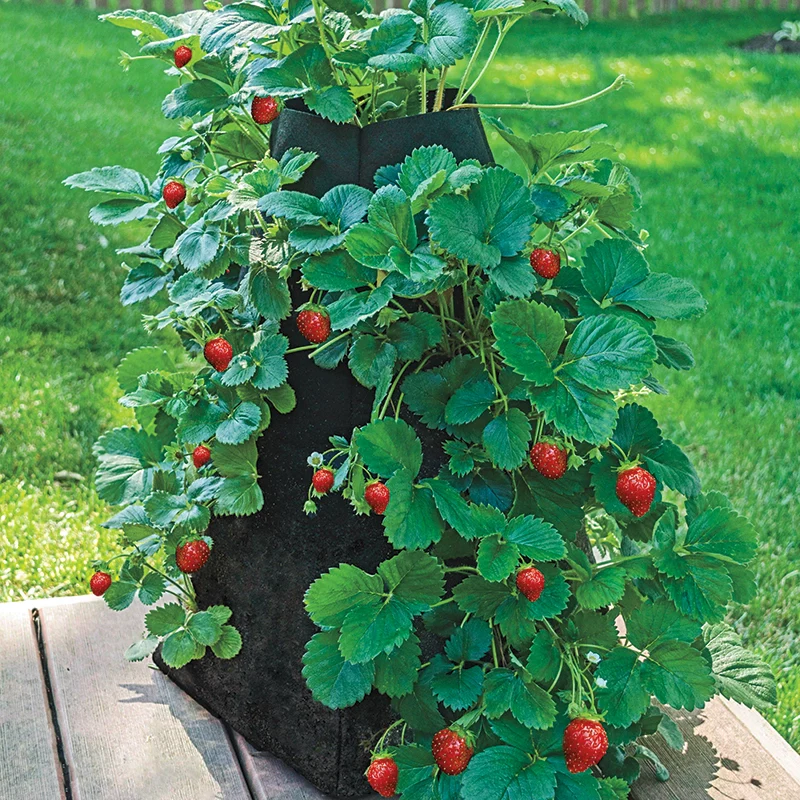 Grow Tub™ Strawberry Tower™ - Image 2