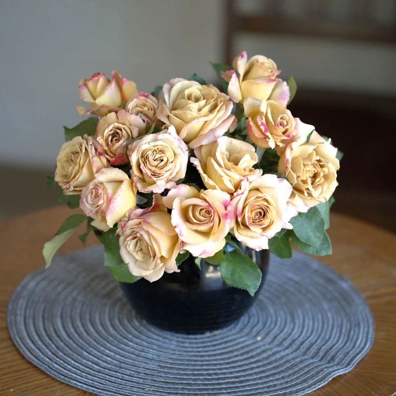 Honey Dijon™ Grandiflora Rose - Image 2