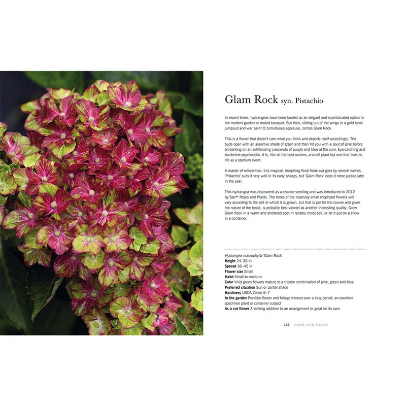 Hydrangeas: Beautiful Varieties for Home and Garden - Image 2