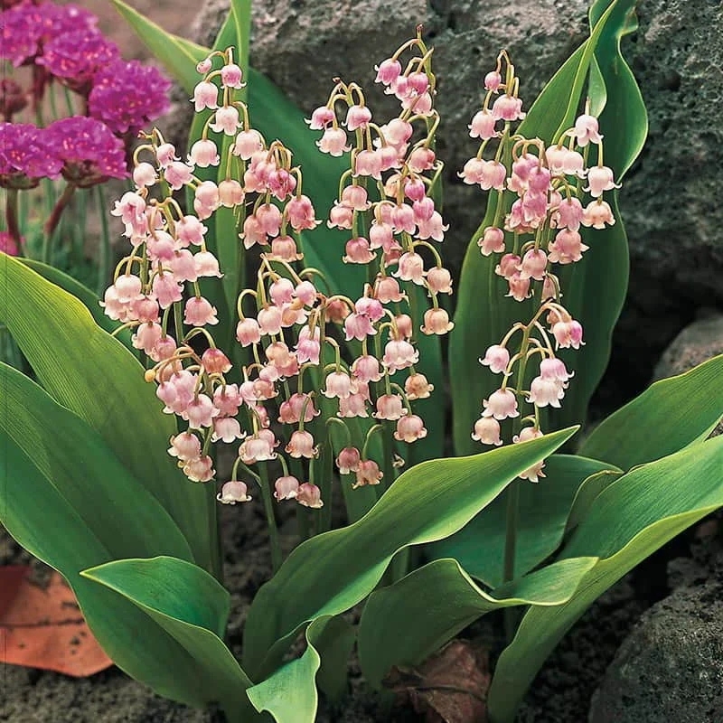 Lily of the Valley Nosegay - Image 3