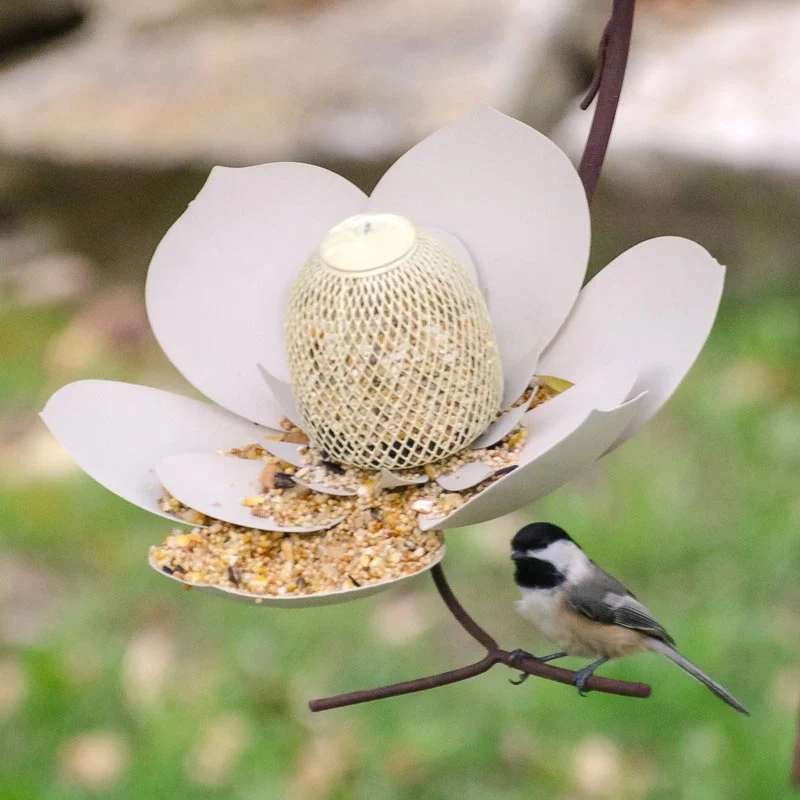 Magnolia Bird Feeder