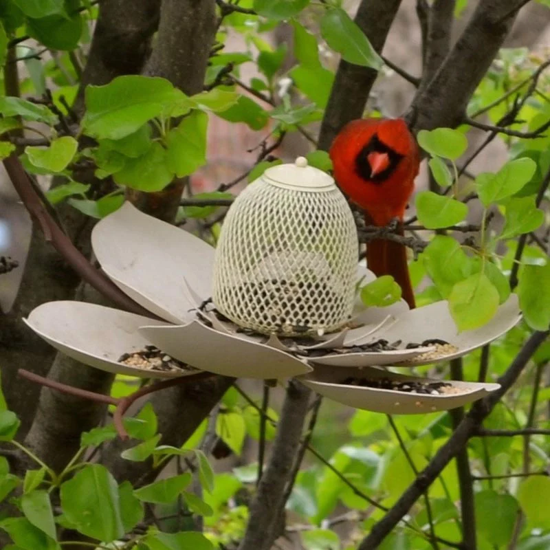 Magnolia Bird Feeder - Image 2