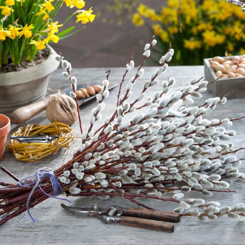 Florists Decorative Willow Trio - Image 3