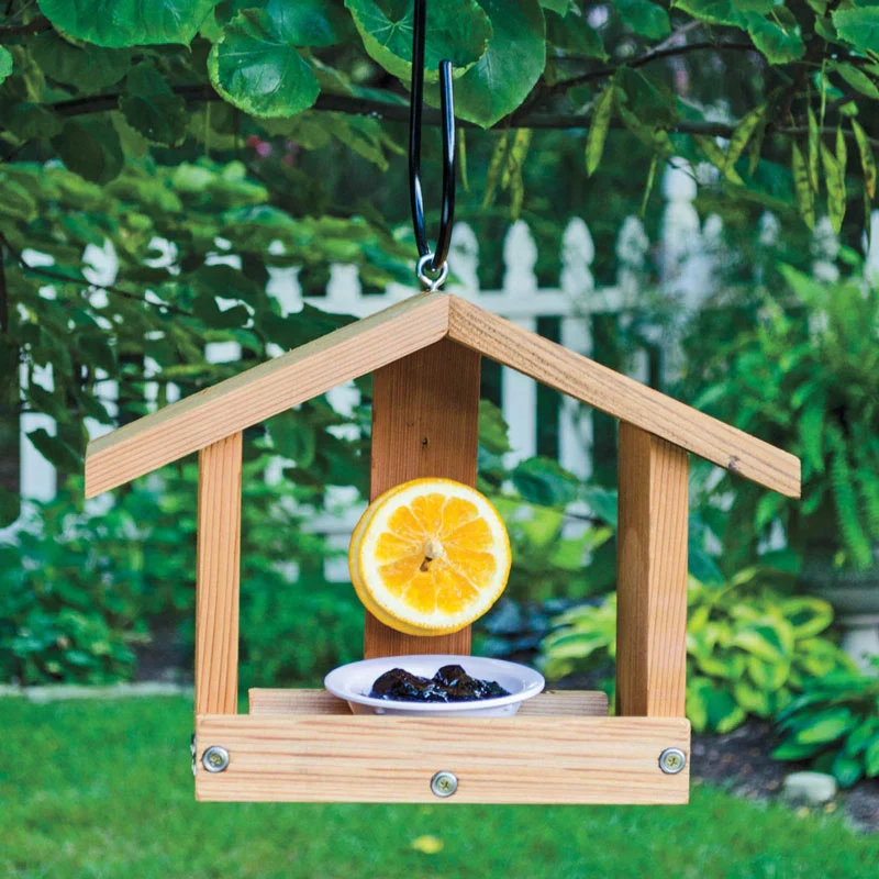 Oriole Orange & Jelly Feeder