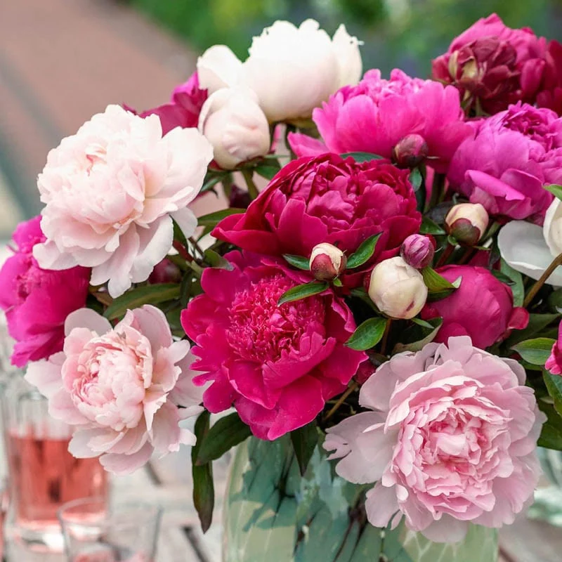 Peony Cutting Doubles