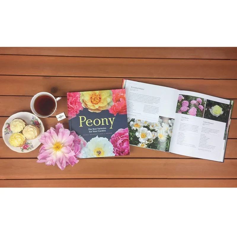 Peony: The Best Varieties for Your Garden - Image 2