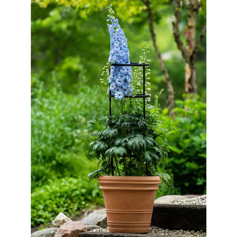 Plant Support Kit