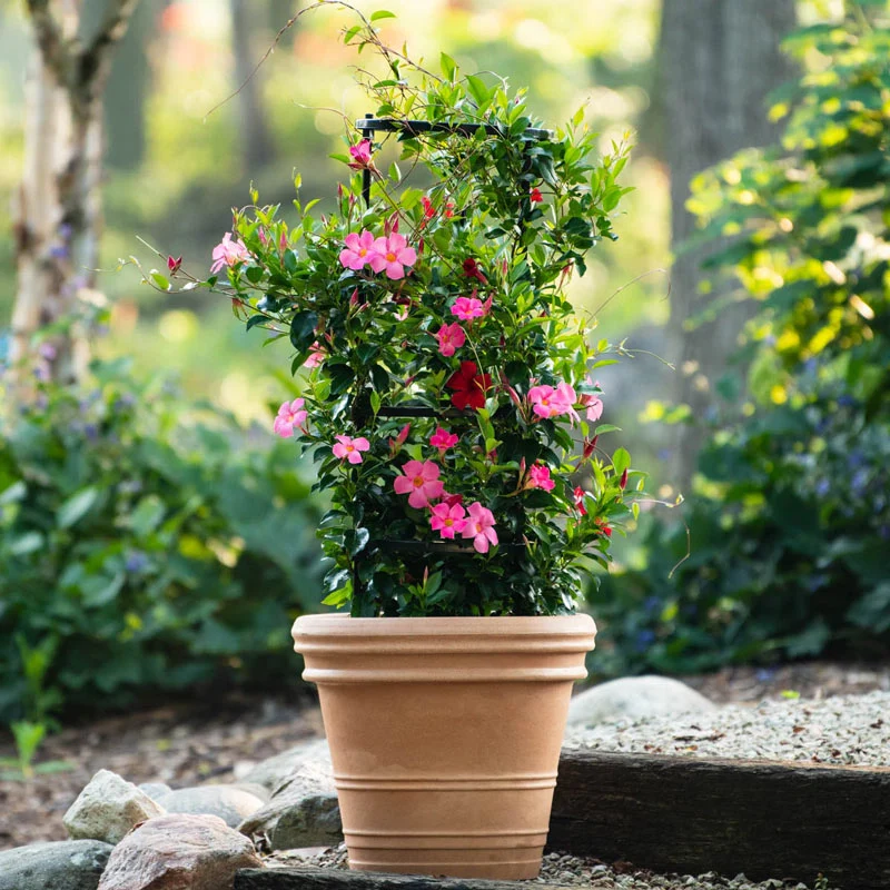 Plant Support Kit - Image 4