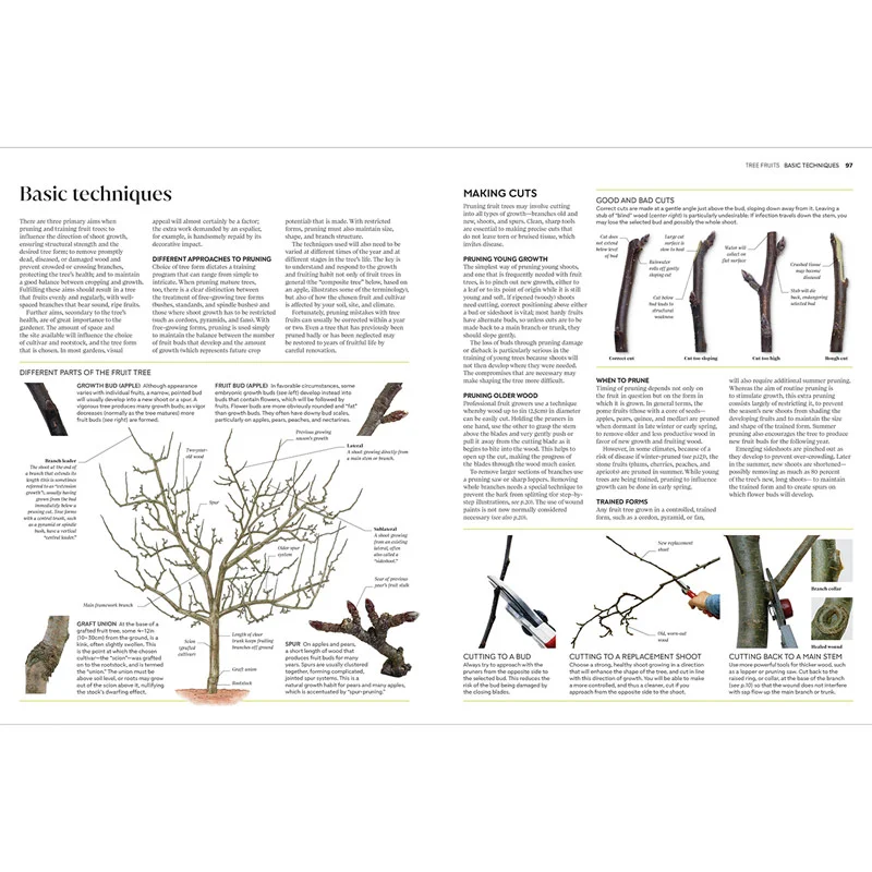 Pruning And Training: What, When and How To Prune - Image 2