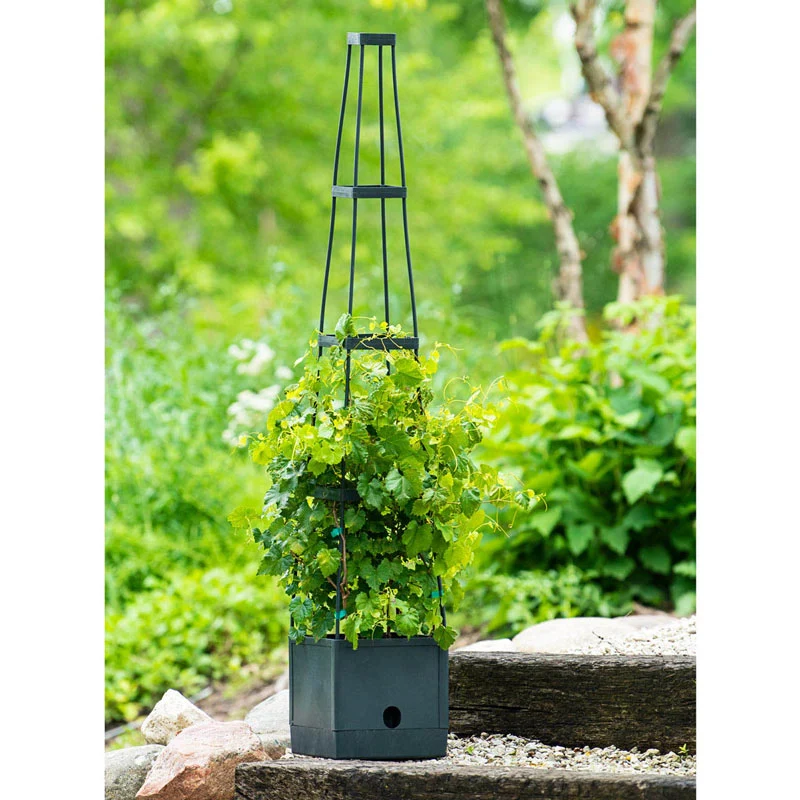 Self Watering Plant Tower