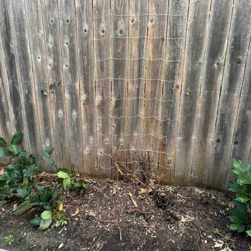 5'x15' Soft Mesh Clematis Trellis - Image 5