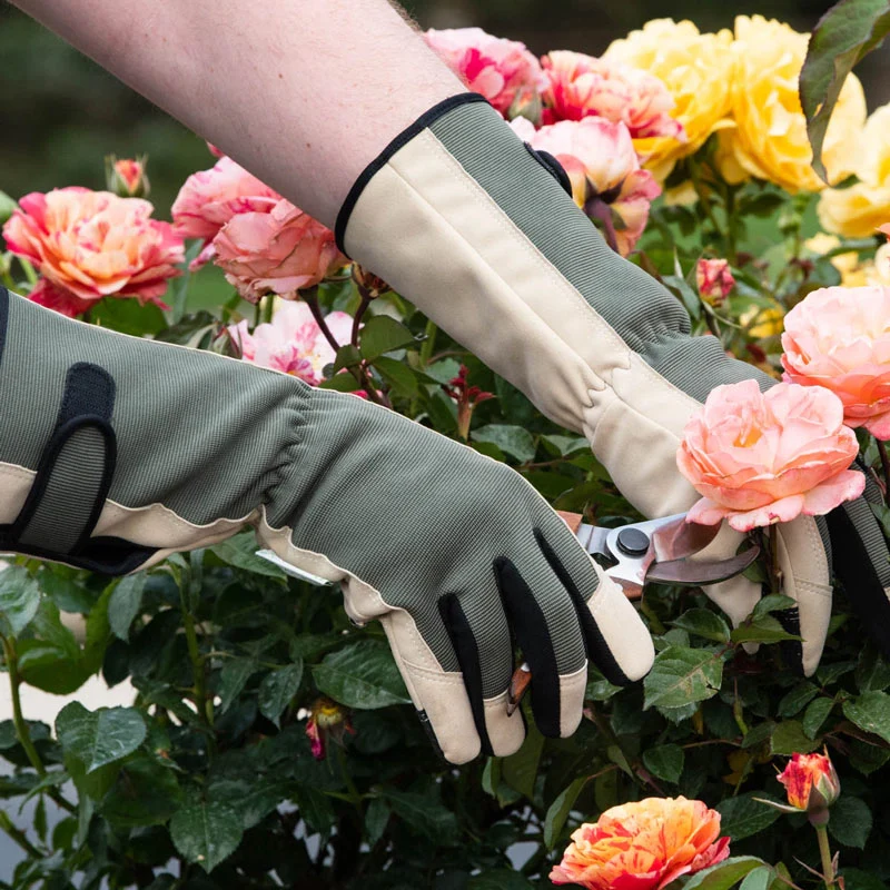 Spring Hill Gauntlet Gloves - Image 3