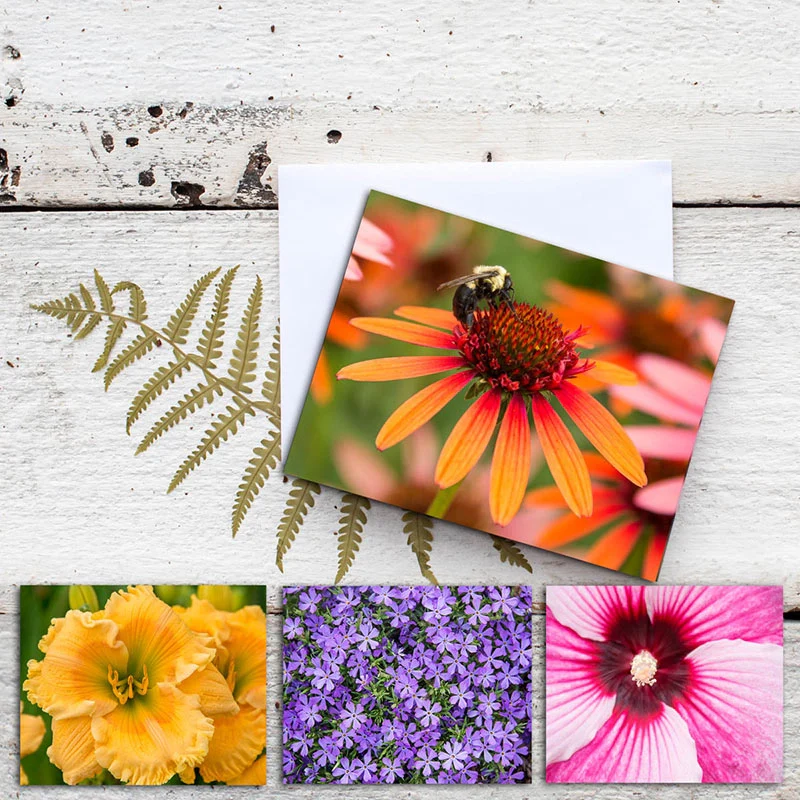 Spring Hill Nurseries® Note Cards
