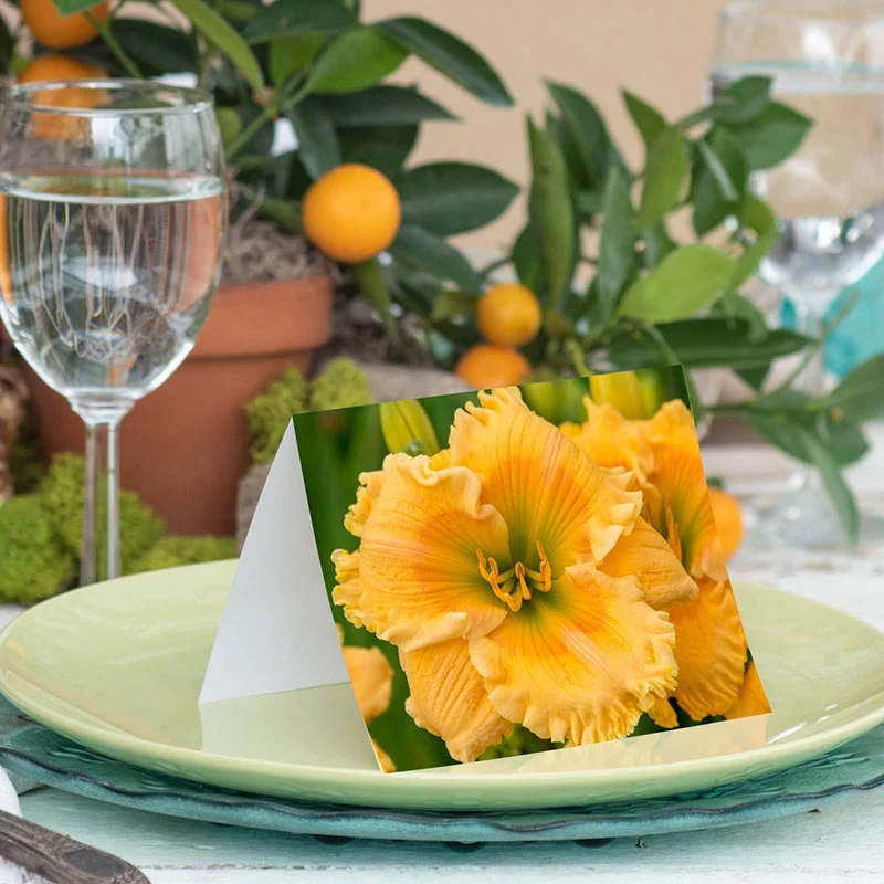 Spring Hill Nurseries® Note Cards - Image 2