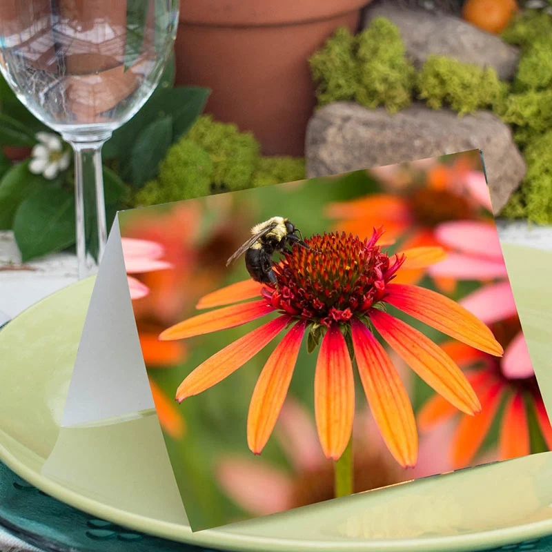 Spring Hill Nurseries® Note Cards - Image 4