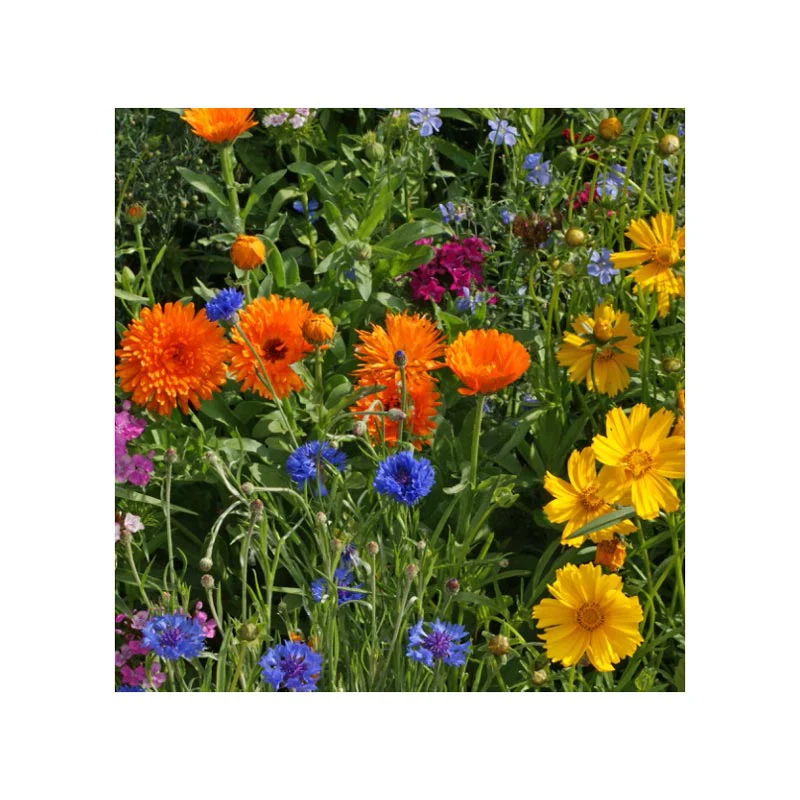 Spring Hill Wrap & Grow - Image 4