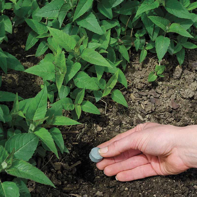 The Pill for Plants