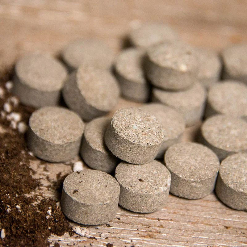 The Pill for Plants - Image 2