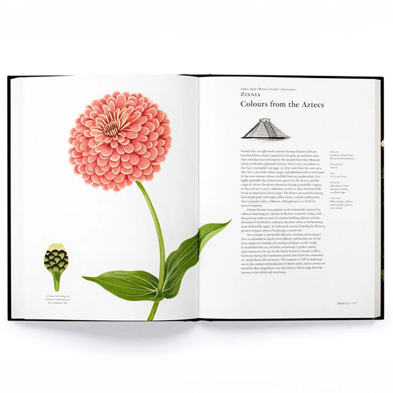 The Story of Flowers: And How They Changed the Way We Live - Image 2