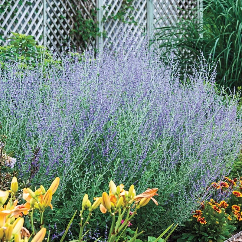 Three Seasons of Beauty Garden - Image 13