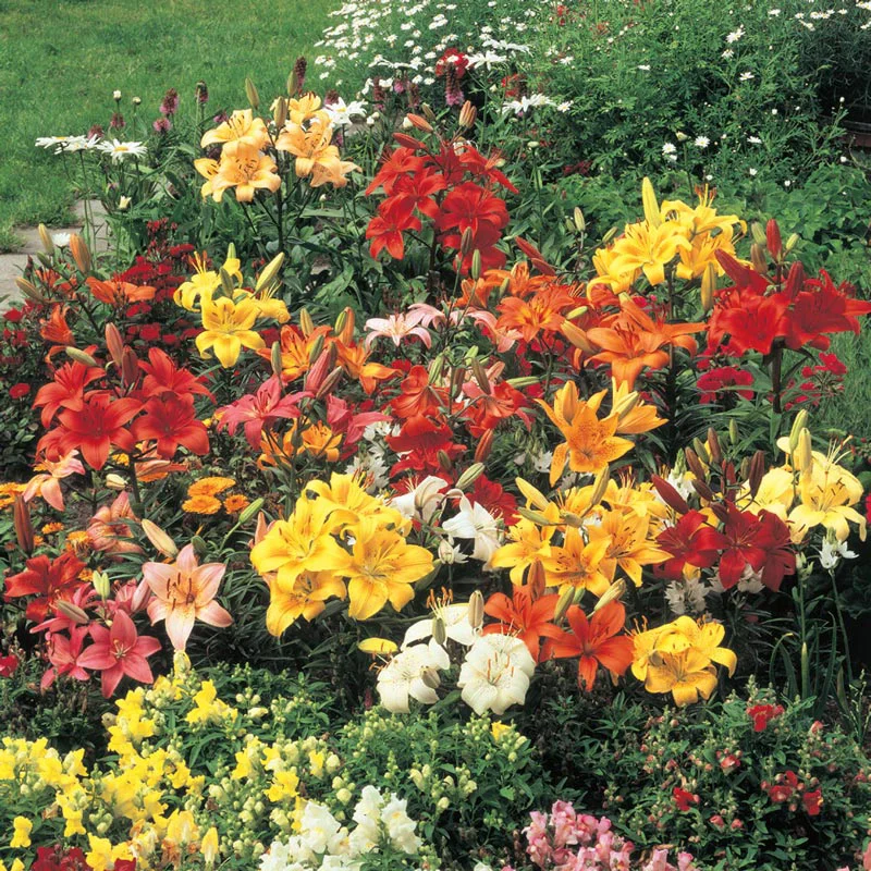Three Seasons of Beauty Garden - Image 2