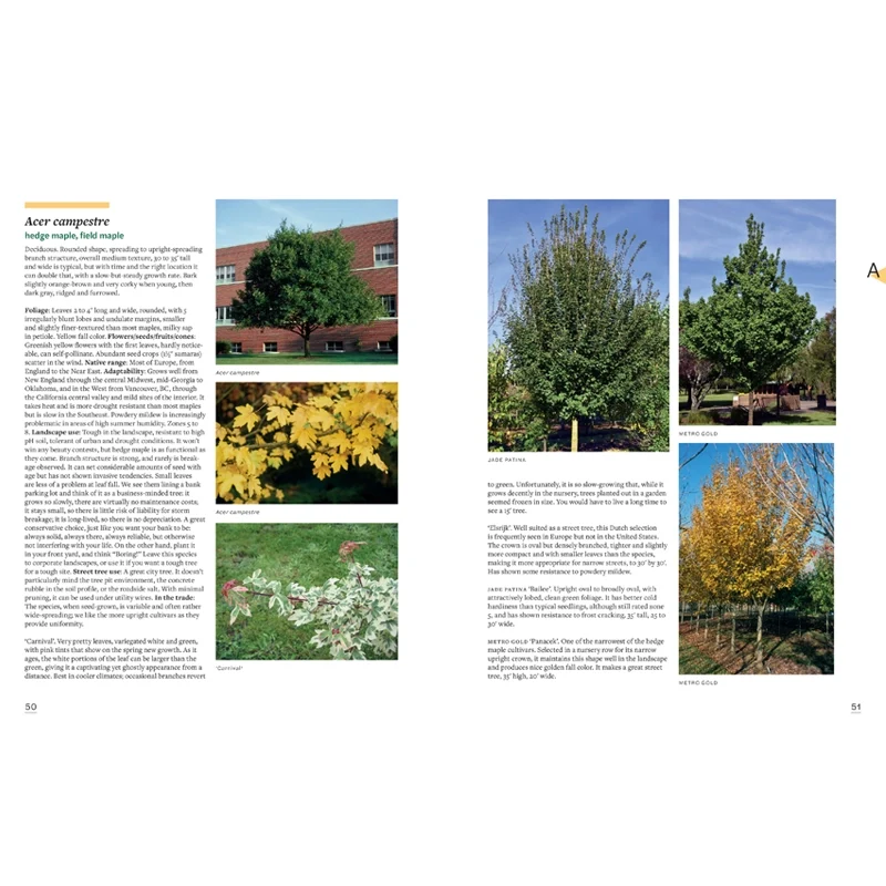 Tree Book: Superior Selections for Landscapes, Streetscapes, and Gardens  - Image 3