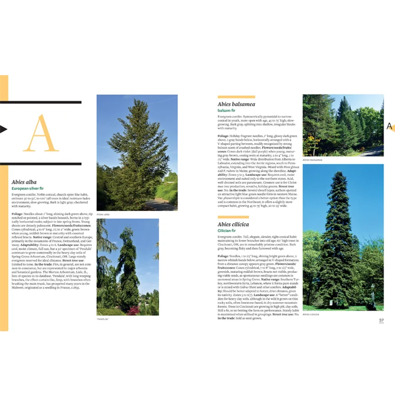 Tree Book: Superior Selections for Landscapes, Streetscapes, and Gardens  - Image 4