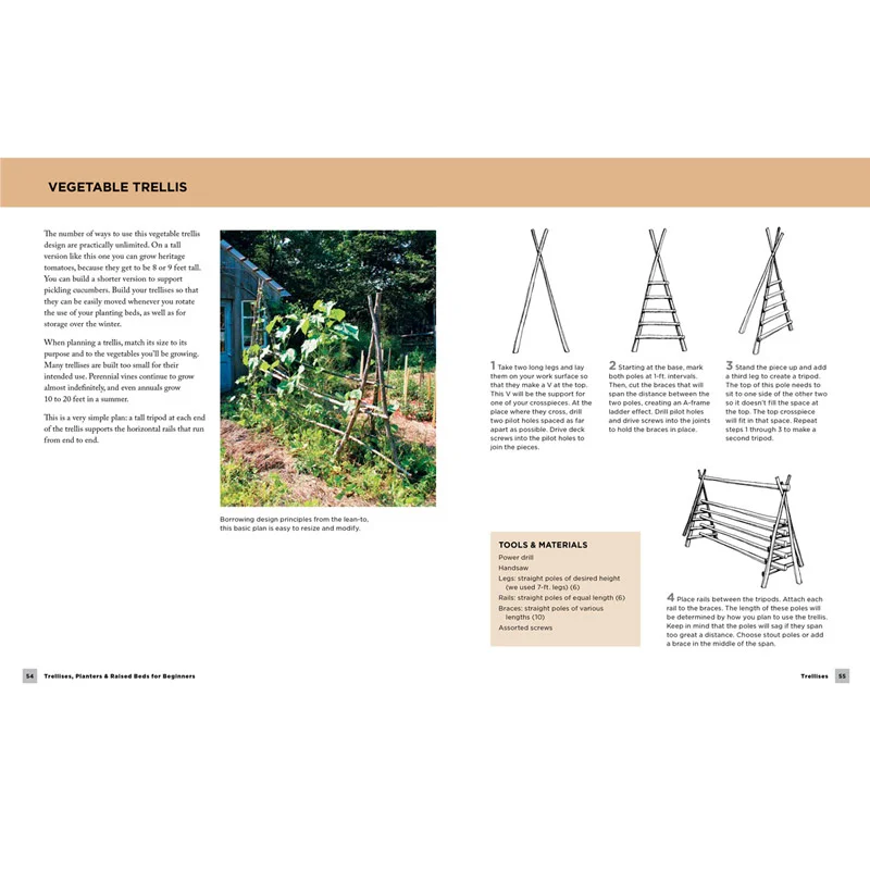 Trellises, Planters & Raised Beds for Beginners - Image 3