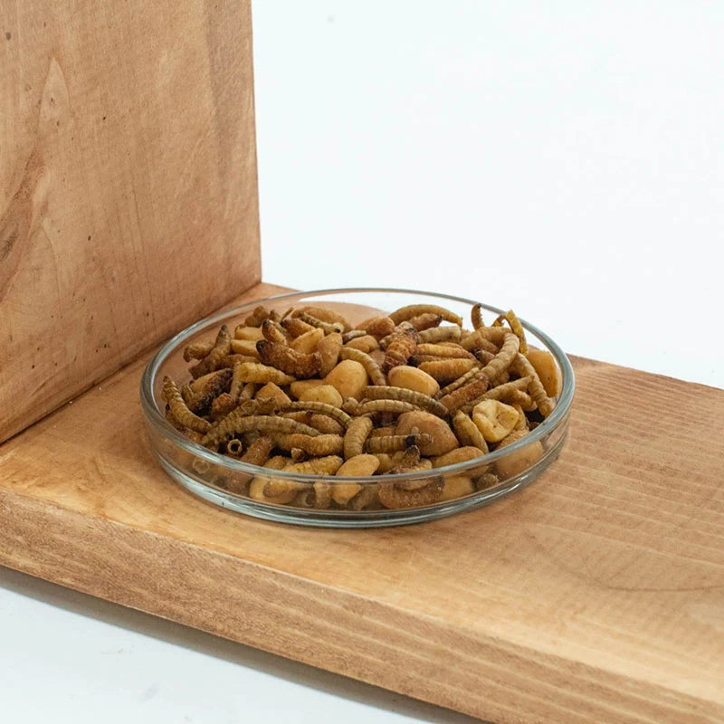 WellBuilt™ Fruit and Grub Feeder - Image 3