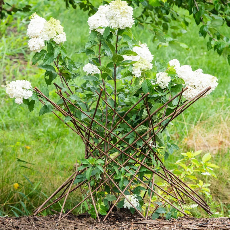 Willow Obelisk Plant Support - Image 3