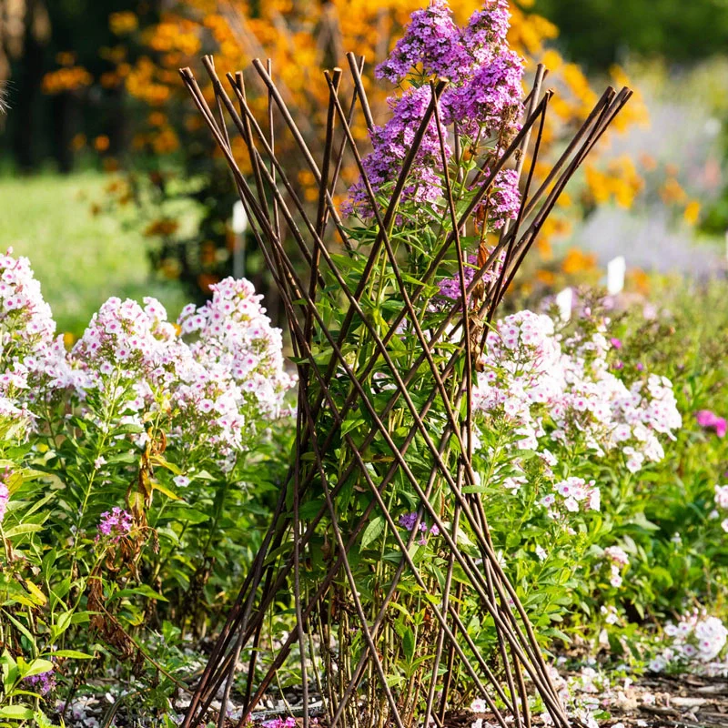Willow Obelisk Plant Support - Image 4
