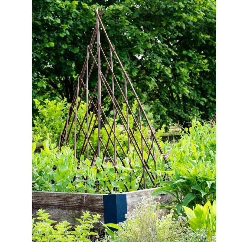 Willow Teepee Plant Support - Image 3