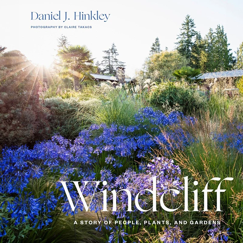 Windcliff